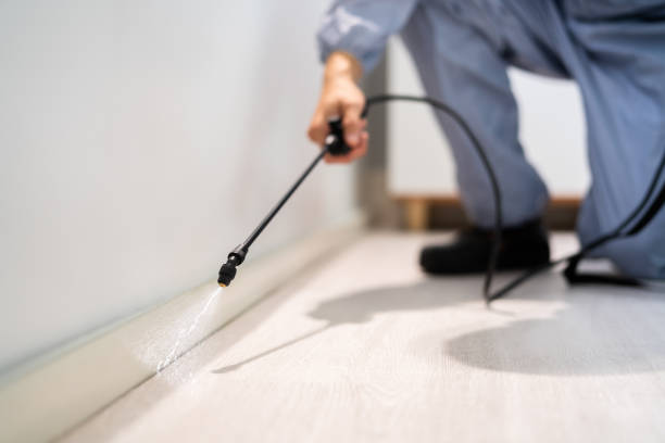 Licensed Mosquito Control service in Jenkins, KY - Show Me Pest Control