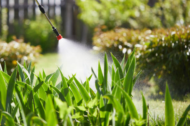 24/7 Emergency Mosquito Control experts in Jenkins, KY