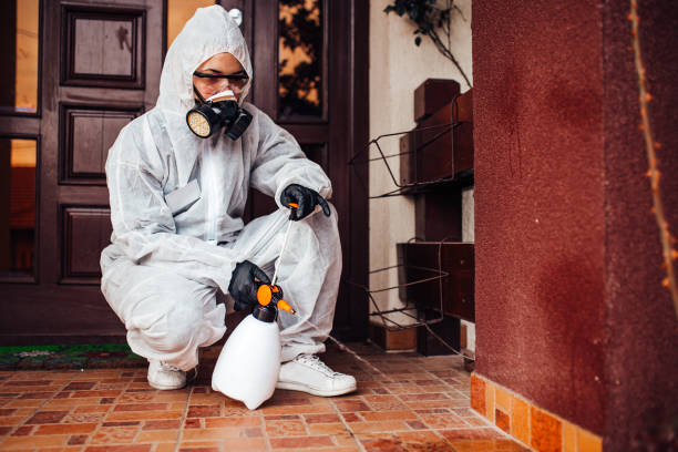 Reliable Mosquito Control contractor in Jenkins, KY by Show Me Pest Control